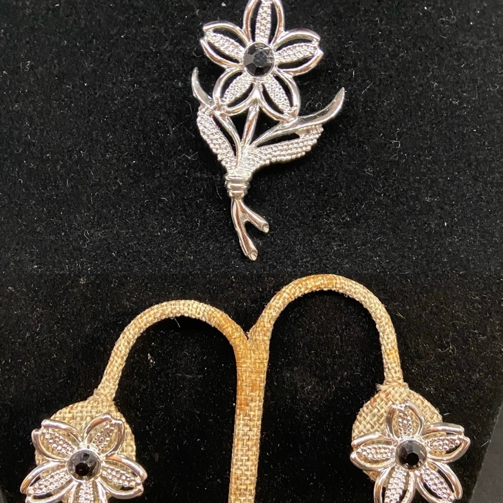 Vintage Sarah Coventry Black Beauty Brooch and Earrings Set